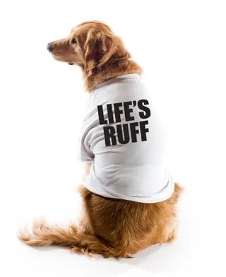 Life's Ruff