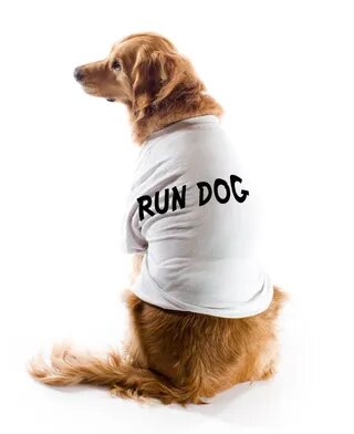 Run Dog