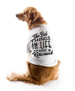 Best Things In Life Are Rescued