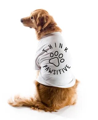 Think Pawsitive